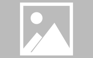 滦南网页设计师周记（网页设计周记26篇300字）